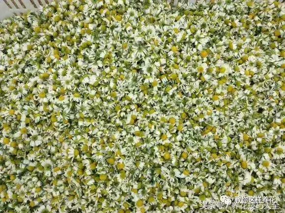 入睡困难也容易醒吃什么助眠药,入睡困难惊醒吃什么助睡眠的药好