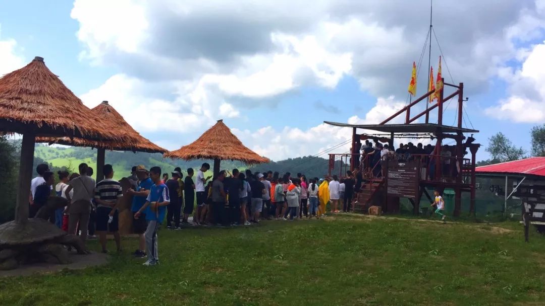 人从众的模式,人从众