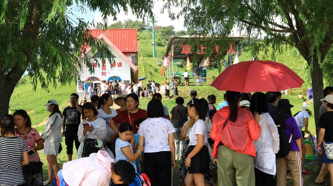 人从众的模式,人从众