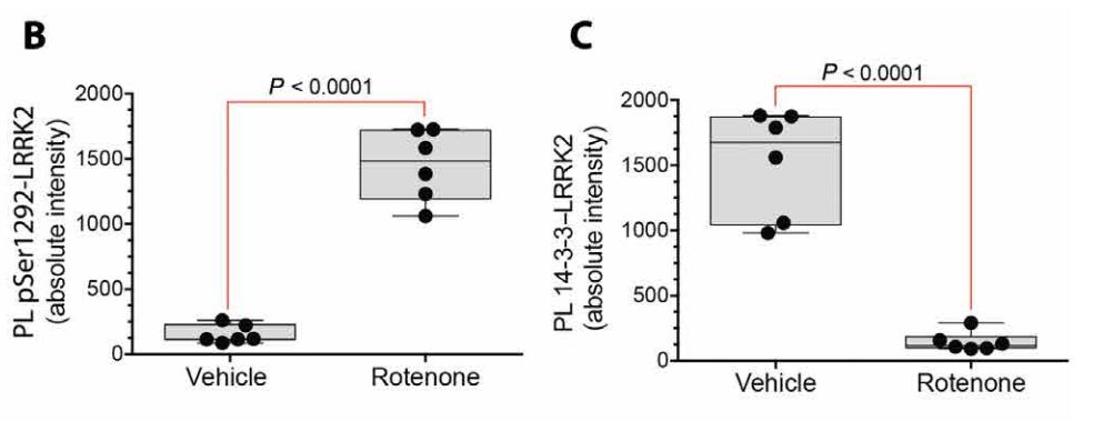 《科学》子刊：科学家首次证实正常的LRRK2基因也会促进帕金森病，90%发病原因不明的患者或许也有救了｜科学大发现