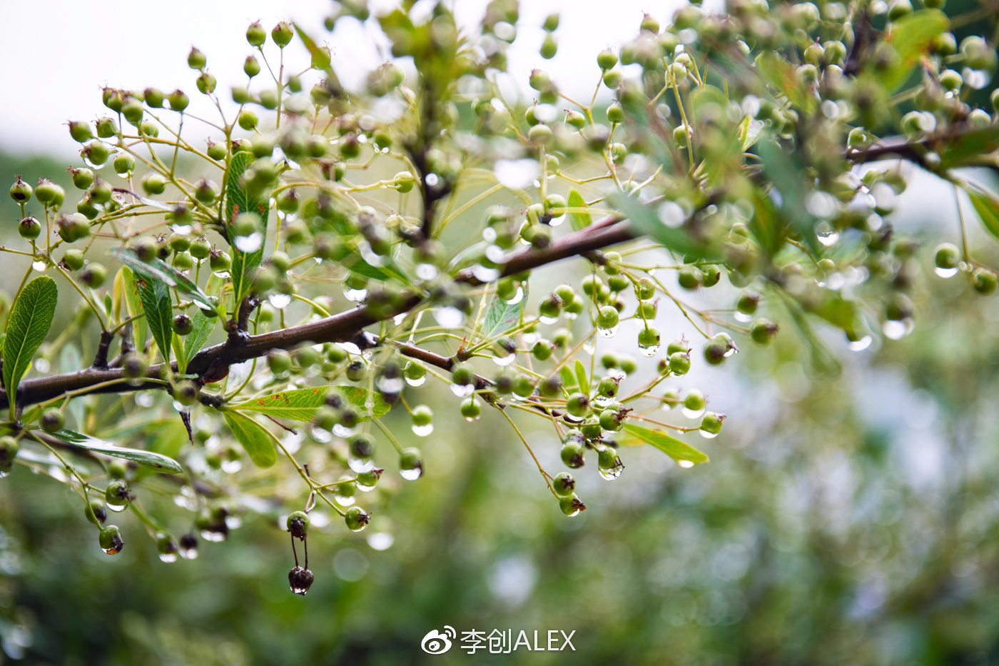 济州岛即将上演的童话世界,去济州岛旅行的感受