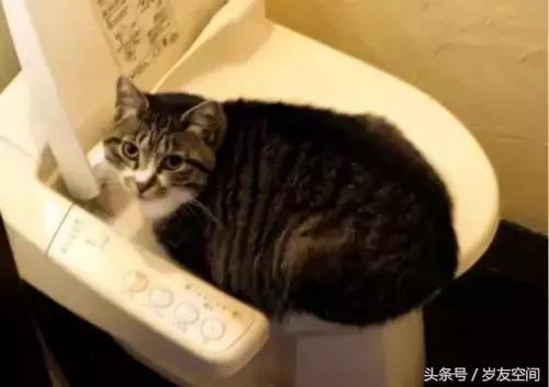 日本的洗澡间怎么这么大,日本顶级浴室介绍