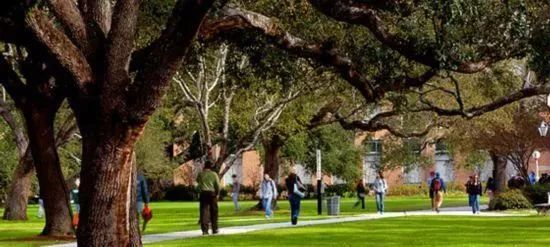 只要没出机场，看到这个牌子，千万别摸手机！还有这些禁忌你必须知道