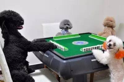 遂宁特色文化,遂宁独特的文化与习俗