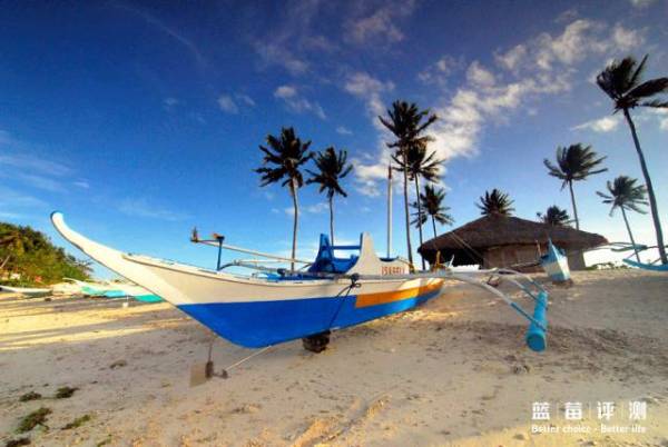 蓝莓评测美国蓝莓,蓝莓评测