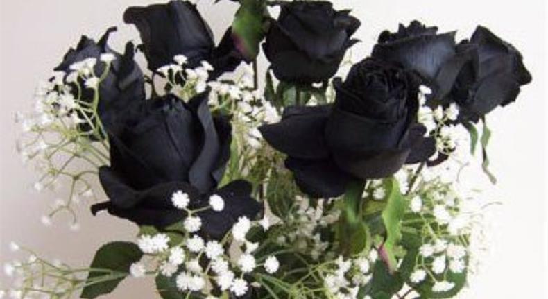 七夕节十一枝玫瑰花语是什么,七夕节玫瑰花图片花语