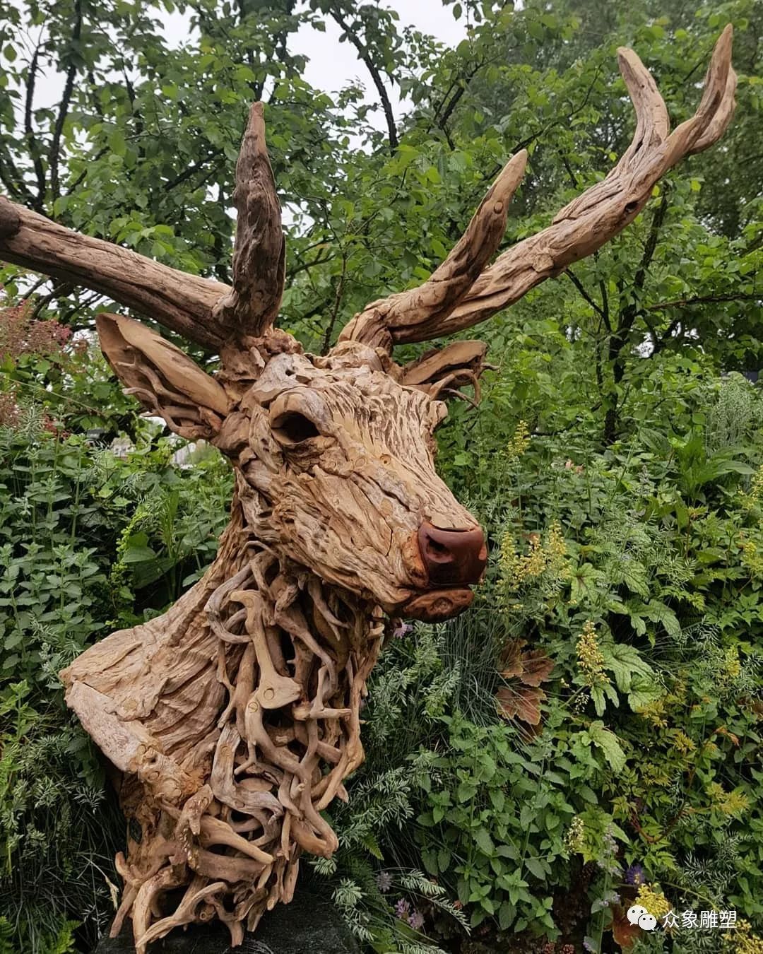 朽木可雕琢,朽木可雕