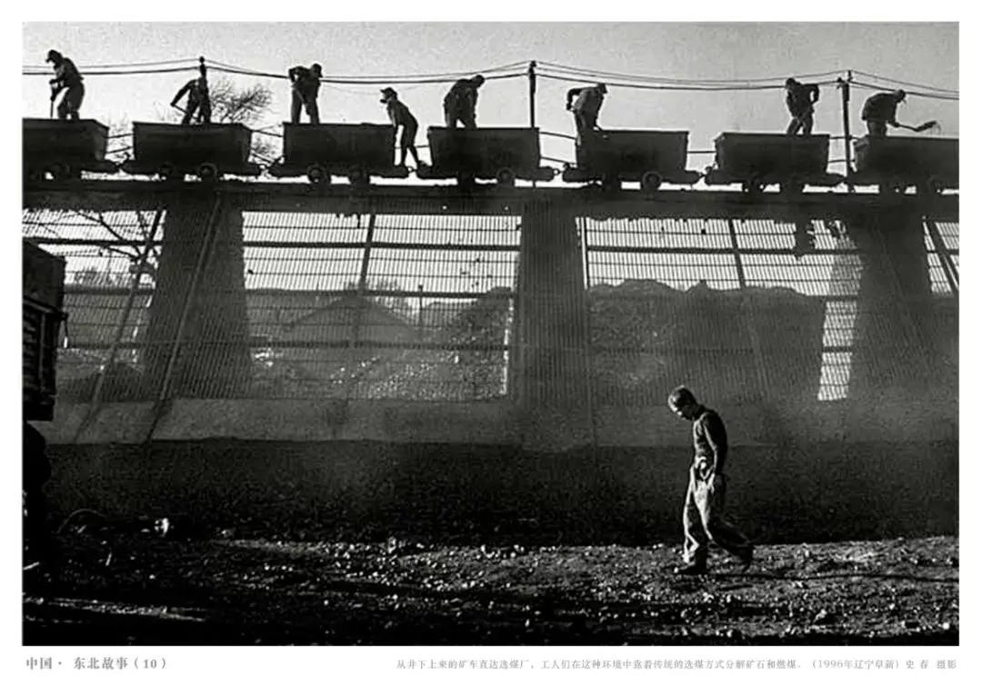 云南奇葩,云南奇葩视频