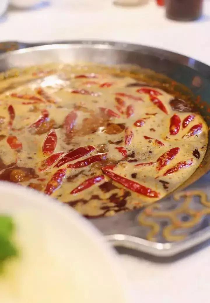 据说科华路的温度全成都最高！因为……