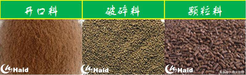 虾的养殖用什么饲料,养虾成本与利润分析表格