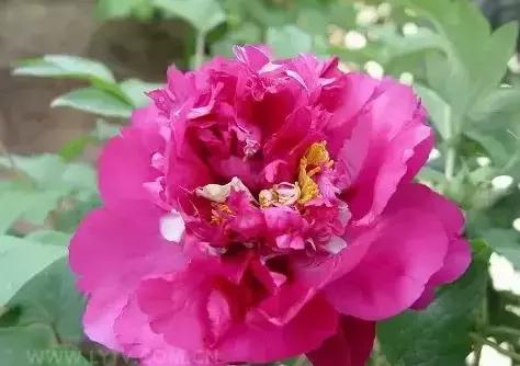 8.8发财日的祝福,8月18日发财日早安祝福图片