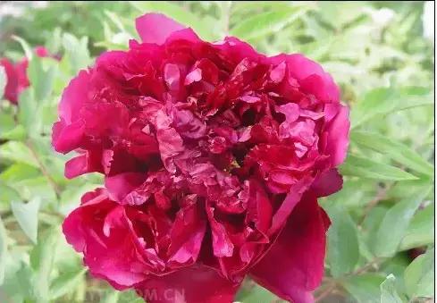 8.8发财日的祝福,8月18日发财日早安祝福图片