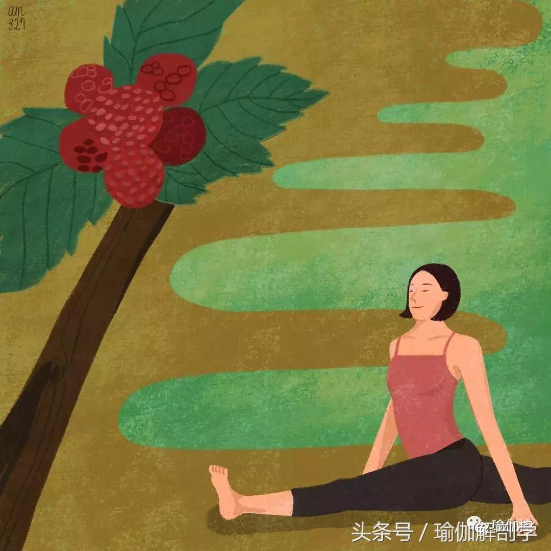 瑜伽初学者的7大禁忌,初学瑜伽的5大禁忌