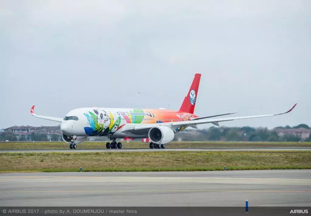 川航客机奇迹归来,川航第一架宽体客机