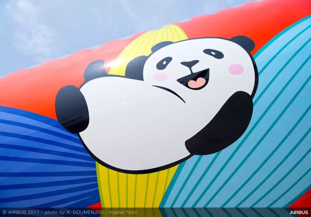 川航客机奇迹归来,川航第一架宽体客机