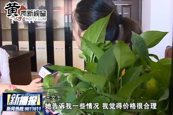 转账货款不发货能打赢官司吗,微信购物转账对方不发货