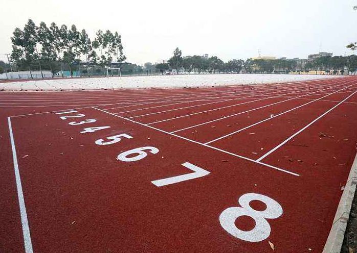 成都的公共体育馆免费开放有哪些,成都哪些体育场馆免费开放