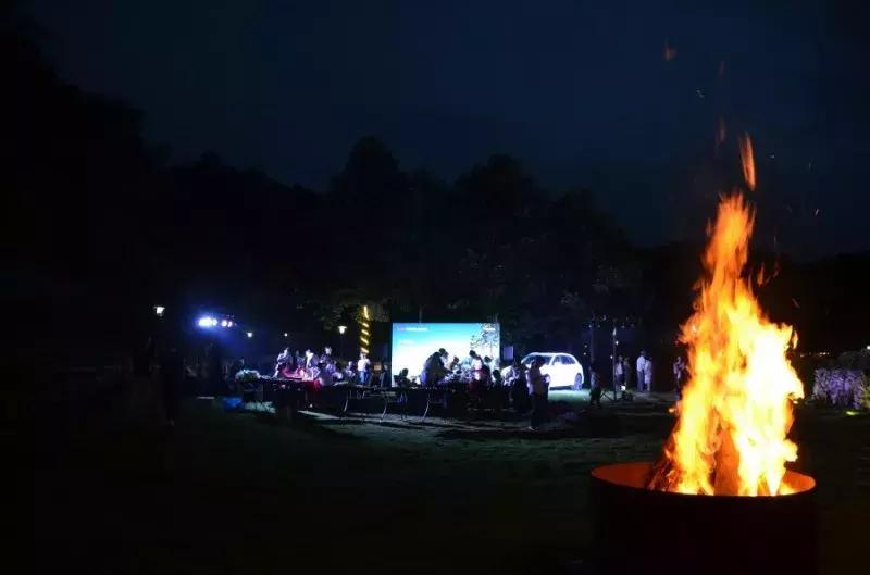 什么样的人喜欢奥迪,喜欢奥迪的男人喜欢什么样的女人