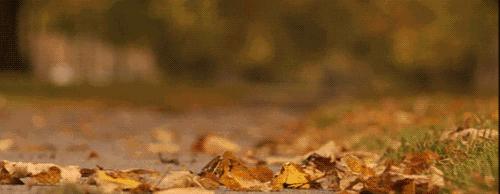 「杏林微科普」入秋了，我们应该如何注意饮食起居防病保健