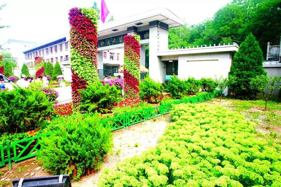 海淀十年照片,海淀40年前的照片