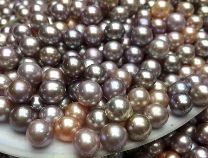 珍珠知识问题解答视频,小火说视频