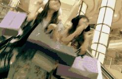 潮购每晚八点,潮购西安