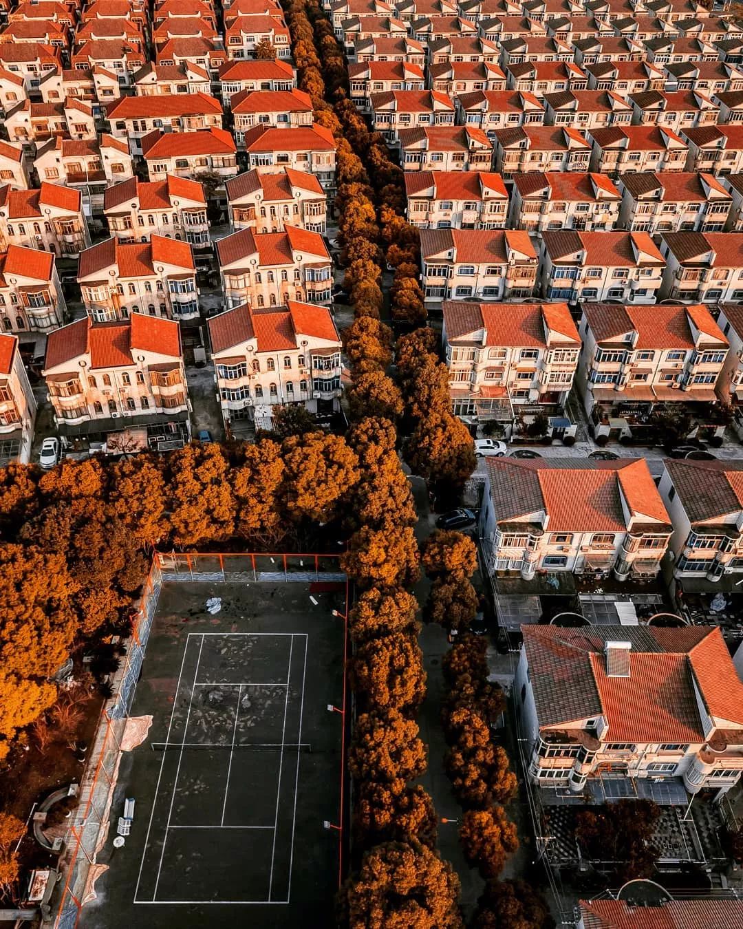 上海大量美照曝光,上海惊艳视频