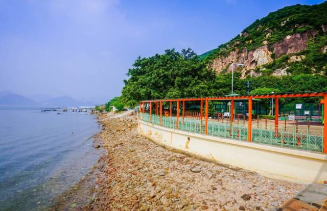 陕西到香港攻略,宝鸡到香港怎么出行最划算