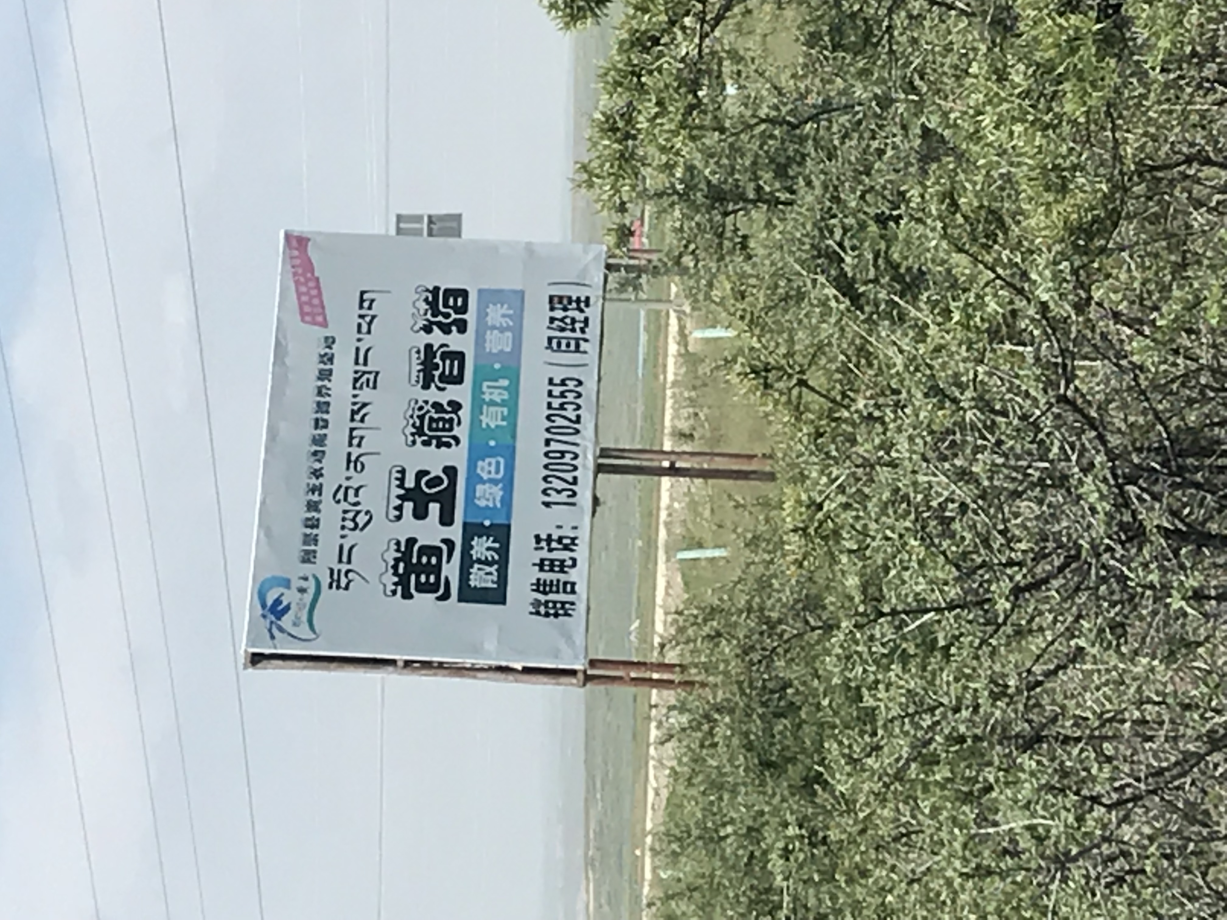 刚到高原是不是要少喝水,初到高原吃些什么好