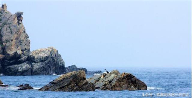 辽宁农家乐旅游攻略,辽宁农家度假村