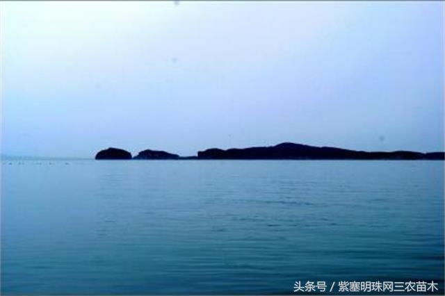 辽宁农家乐旅游攻略,辽宁农家度假村