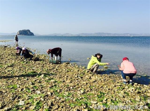 辽宁农家乐旅游攻略,辽宁农家度假村