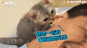 你享受过免费叫醒服务吗,你享受过免费的叫醒服务吗