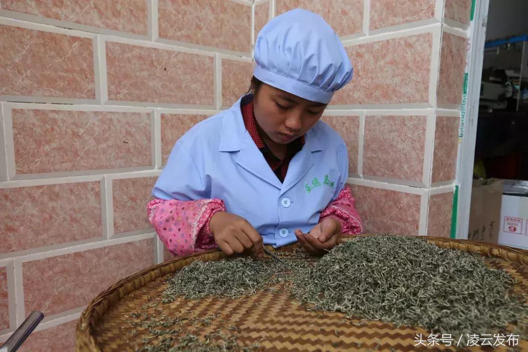 茶乡“领头阳”的人善茶方纯