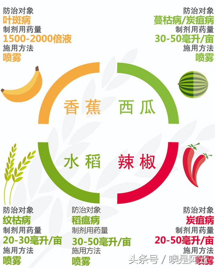 能让庄稼防病增产的药材,能让人怀孕的药物叫什么名字