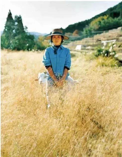 第四消费时代解读日本,日本第四消费时代的解析