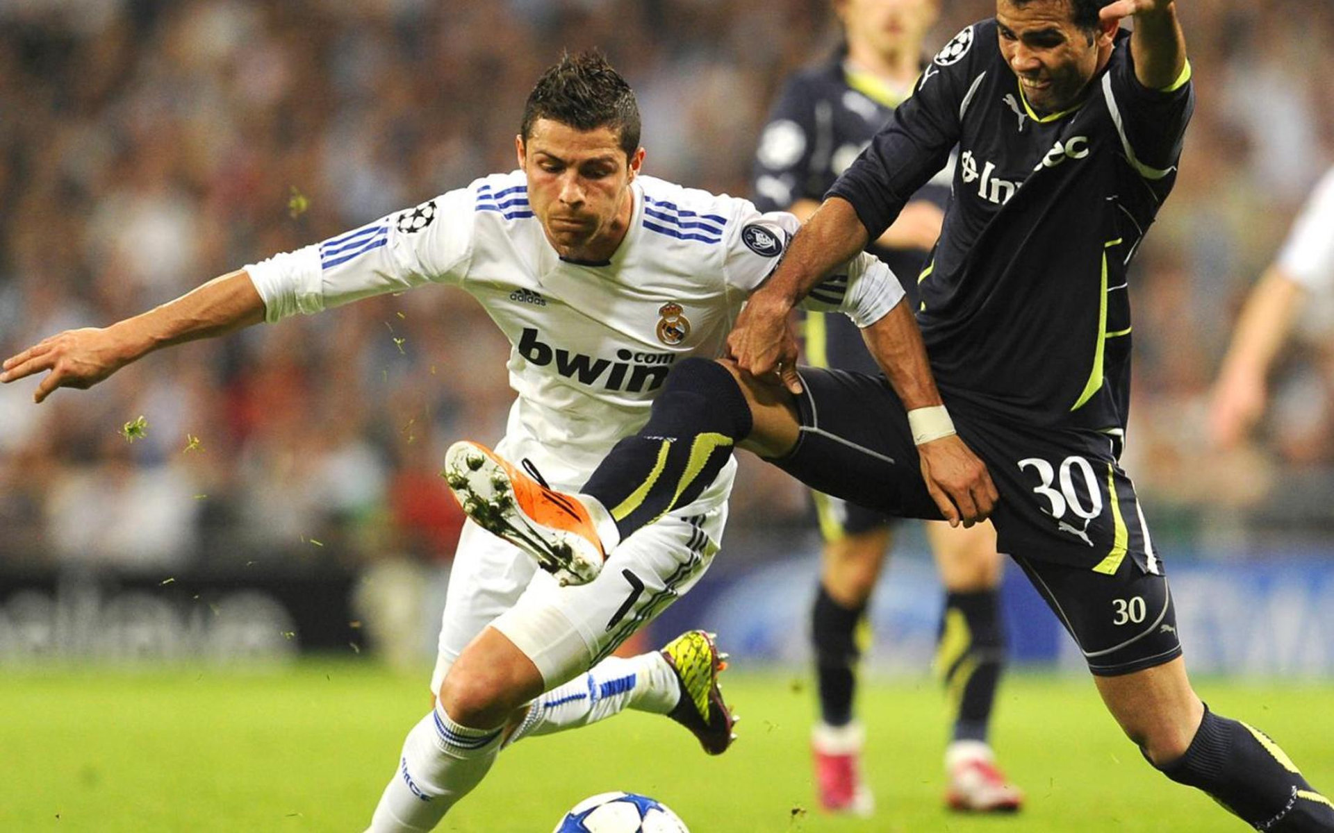 两部经典纪录片推荐,两部纪录片推荐