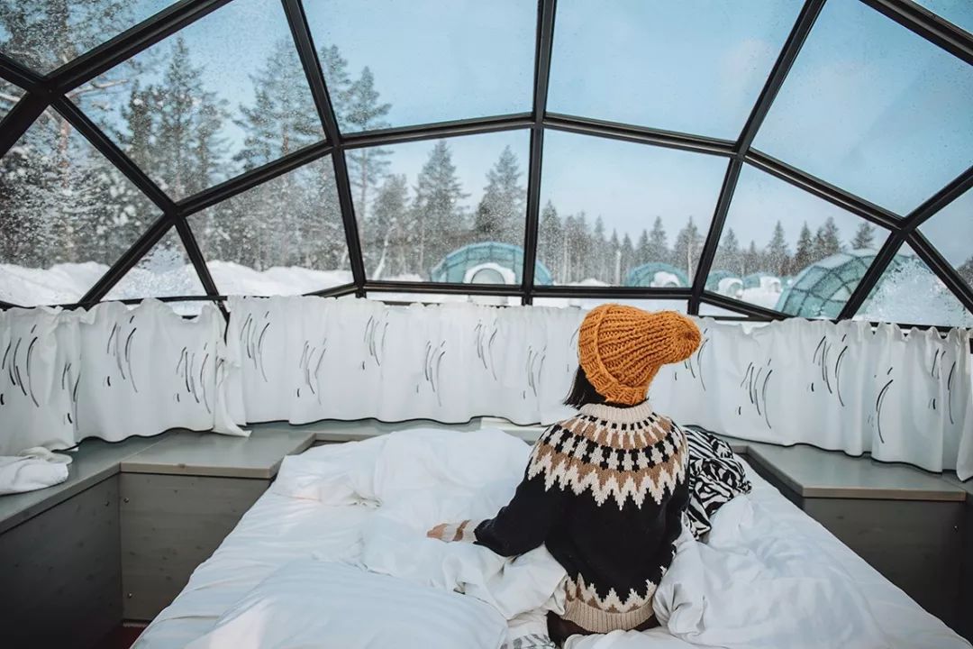 为什么我们迷恋恐龙,为什么我们痴迷篮球