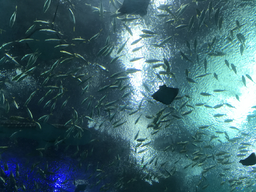 这个夏天带上ta来场浪漫的旅行,带上心爱的ta来一次浪漫之旅