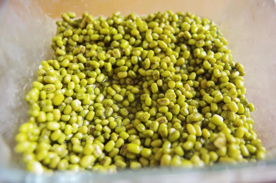 如何在家做入口即化的绿豆糕,入口即化的绿豆糕在家也能做