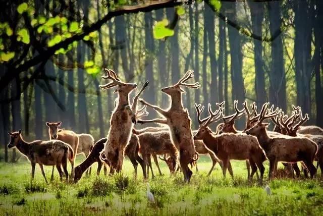 我国内地212个5a景区全在这里,带你看遍全中国的5a景区