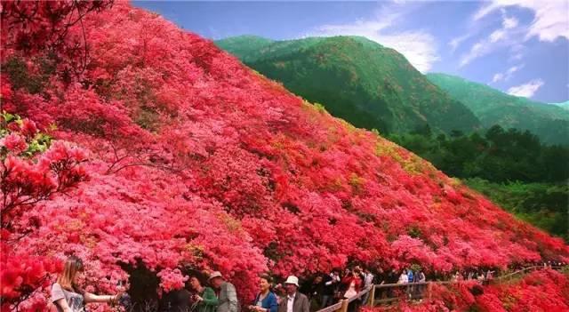 我国内地212个5a景区全在这里,带你看遍全中国的5a景区