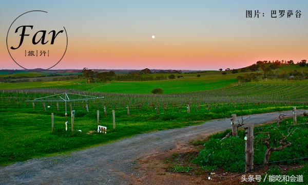 看懂了葡萄酒瓶上的这个细节，买酒绝对不会出错！
