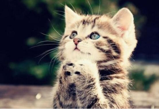 洗衣机比马桶脏100倍，婆婆不信，师傅拆开洗衣机，恶心惨了