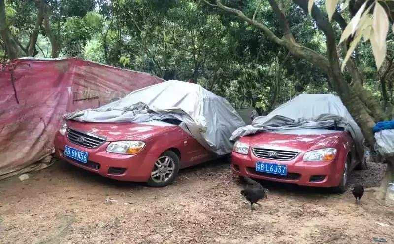 黑出租抓到怎么处罚,黑出租被拘留