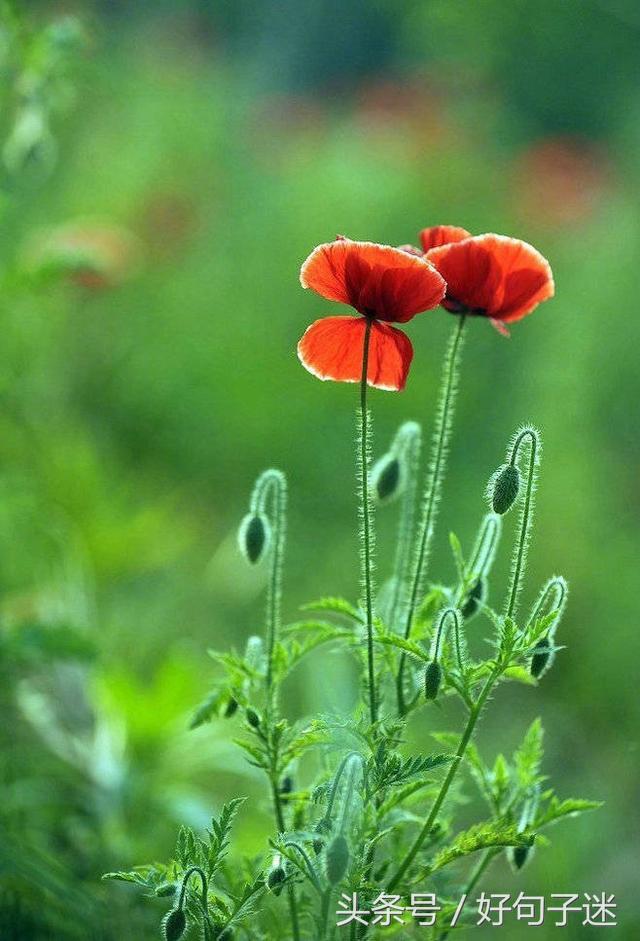 经典语录个性签名人生感悟,简短精辟的个性签名句子精辟走心