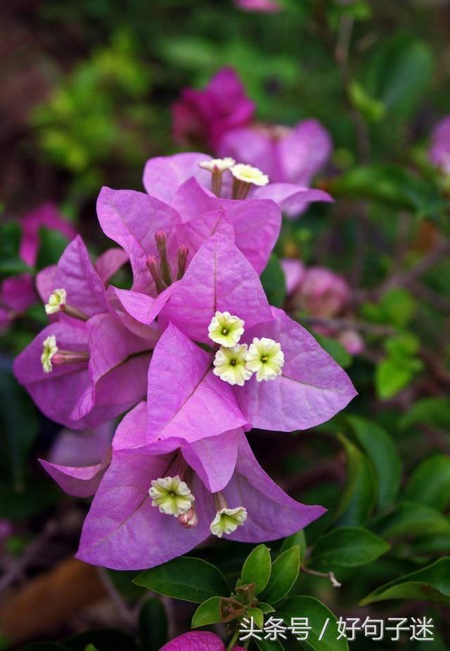 经典语录个性签名人生感悟,简短精辟的个性签名句子精辟走心