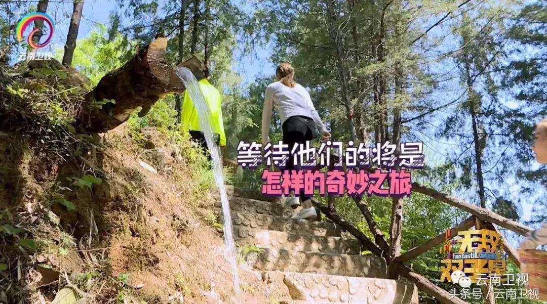 双胞胎潇洒骑马,双胞胎骑行川藏线