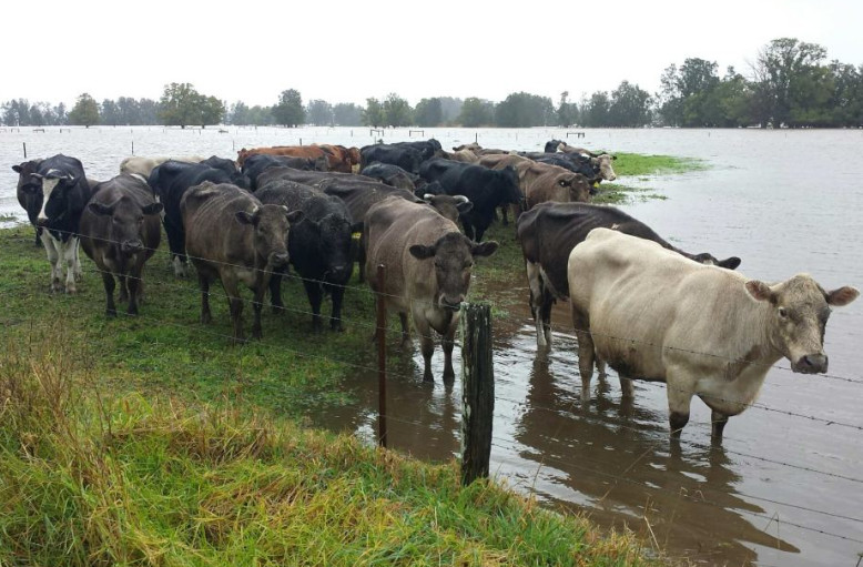 澳洲代购奶粉新闻,澳洲代购热门商品