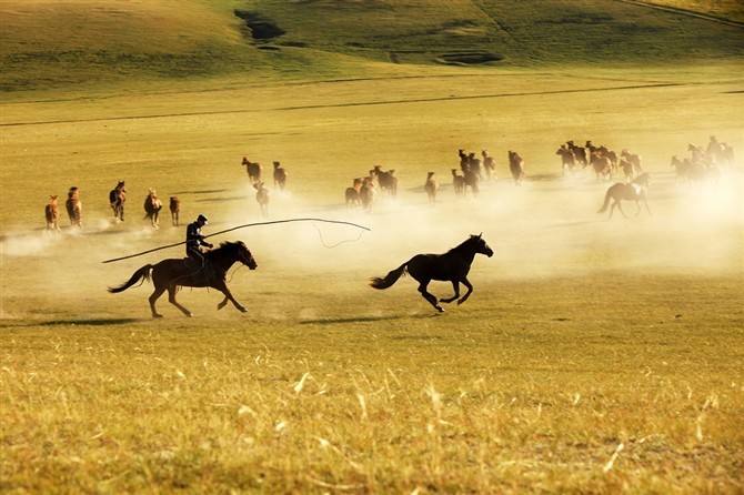 最受欢迎的十大广场舞歌曲，凤凰传奇果然强大